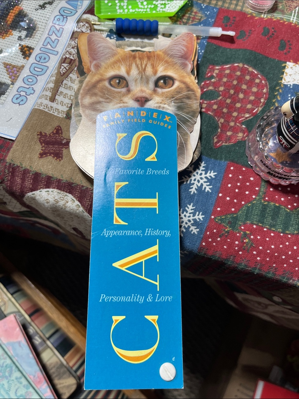 Cat Field Guide